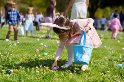 Sunny Children Easter Egg Hunt Lawn