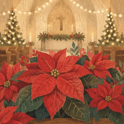 Christmas Poinsettias in Quiet Church Sanctuary