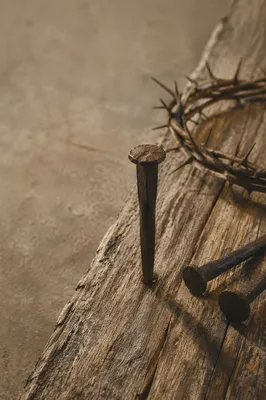 Crown of Thorns and Nails on Weathered Wood