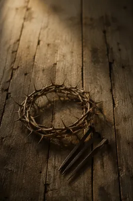 Crown of Thorns and Nails on Weathered Wood