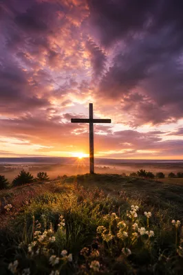 Easter Cross Sunrise Over Misty Meadow