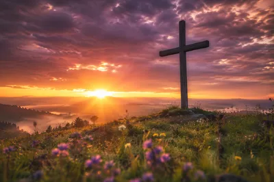 Easter Cross Sunrise Over Spring Meadow