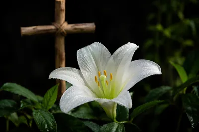 Dewy Easter Lily Garden Cross