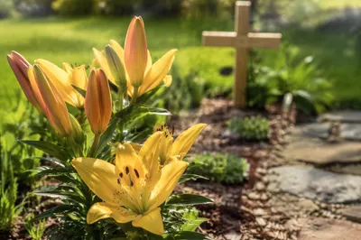 Easter Lilies Beside a Wooden Cross