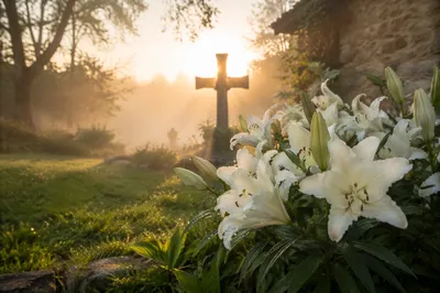 Easter Garden Lilies Before Wooden Cross