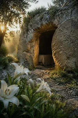 Easter Lilies at the Empty Garden Tomb