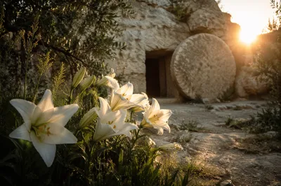 Easter Lilies by the Empty Garden Tomb