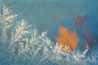 Winter Frost Crystals on Window Pane