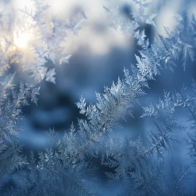 Delicate Frost Crystals on Winter Window