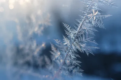 Delicate Frost Crystals on Winter Window