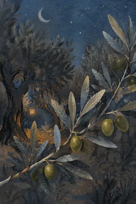 Moonlit Gethsemane Olive Branches at Night