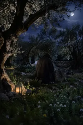 Moonlit Gethsemane Olive Grove Prayer