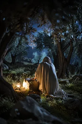 Gethsemane Olive Grove Night Prayer