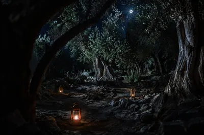 Moonlit Gethsemane Olive Grove Vigil