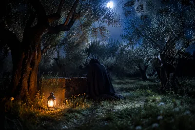 Moonlit Gethsemane Olive Grove Prayer