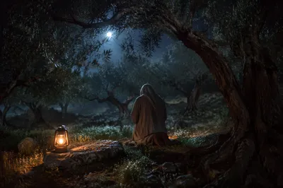 Moonlit Gethsemane Prayer Among Olive Trees