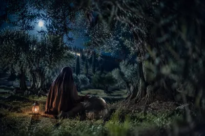Gethsemane Olive Grove Prayer at Night