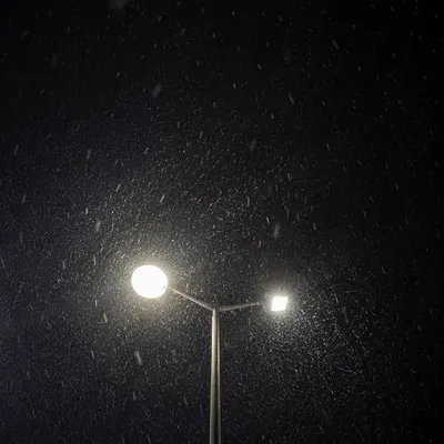 Peaceful Winter Streetlight in Gentle Snowfall