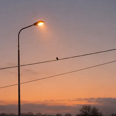 Peaceful Snowfall Under Evening Streetlight