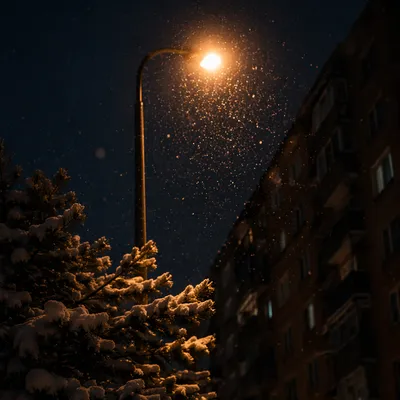 Peaceful Snowfall Beneath Evening Streetlight Glow