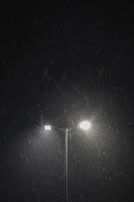 Peaceful Snowfall Beneath Evening Streetlight Glow