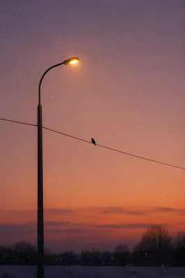 Peaceful Winter Streetlight at Dusk