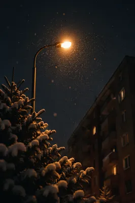 Peaceful Winter Streetlight in Gentle Snowfall