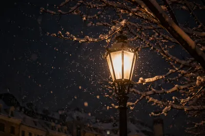 Peaceful Winter Streetlight in Gentle Snowfall