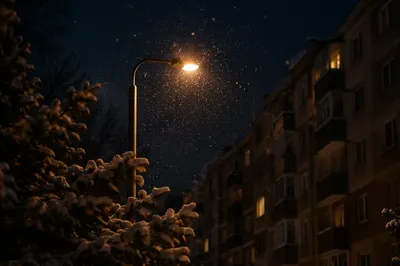 Peaceful Snowfall Beneath Evening Streetlight Glow