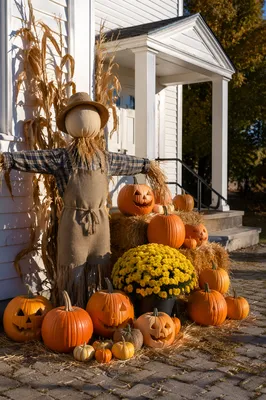 Autumn Harvest Festival Pumpkins at Rural Church