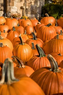 Autumn Pumpkins Outside Community Church