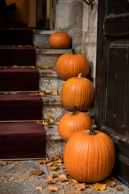 Autumn Pumpkins on Church Chapel Steps