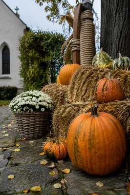 Autumn Church Harvest Festival Pumpkins