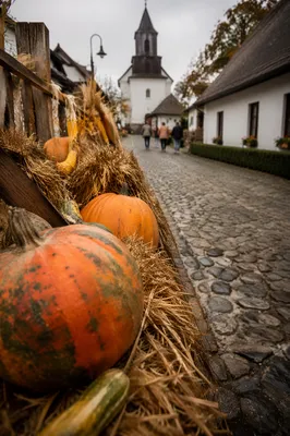 Autumn Harvest Pumpkins by Village Church