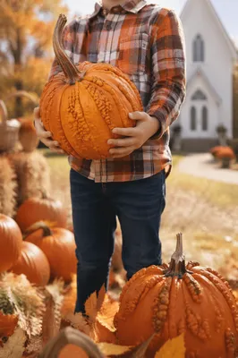 Child Holding Pumpkin at Church Harvest Festival