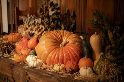 Autumn Harvest Pumpkins in Rustic Church Hall