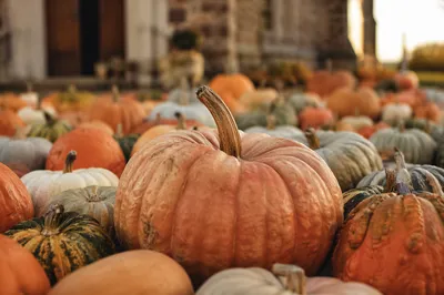 Autumn Pumpkins Outside Country Church