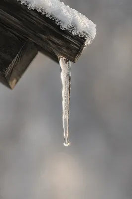 Winter Icicle on Roof in Sunlight