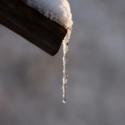Sunlit Icicle on Snowy Roof Eave