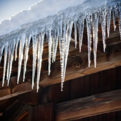 Winter Icicles on Snow Covered Cabin Roof