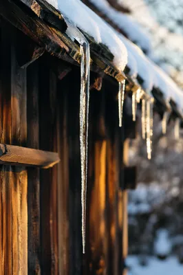 Golden Winter Icicles on Rustic Roof