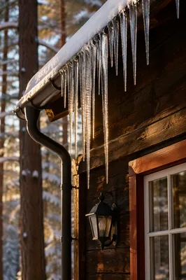 Sunlit Icicles on Rustic Cabin Roof