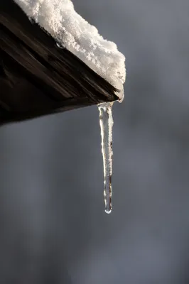 Winter Sunlit Icicle on Rustic Roof