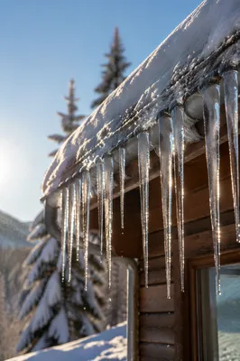Sunlit Icicles on Snowy Cabin Roof