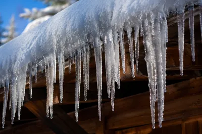 Winter Icicles on Snow Covered Cabin Roof