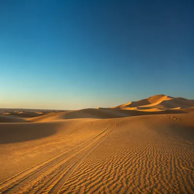Lenten Desert Wilderness Under Blue Sky