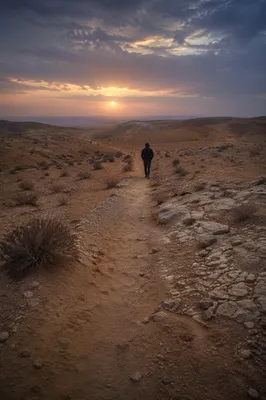 Lenten Wilderness Walk at Desert Dawn