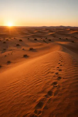Lenten Wilderness Desert at Sunrise
