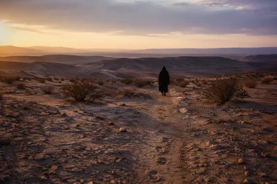 Lenten Dawn Walk in Barren Desert