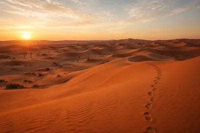 Lenten Wilderness Desert at Sunrise
